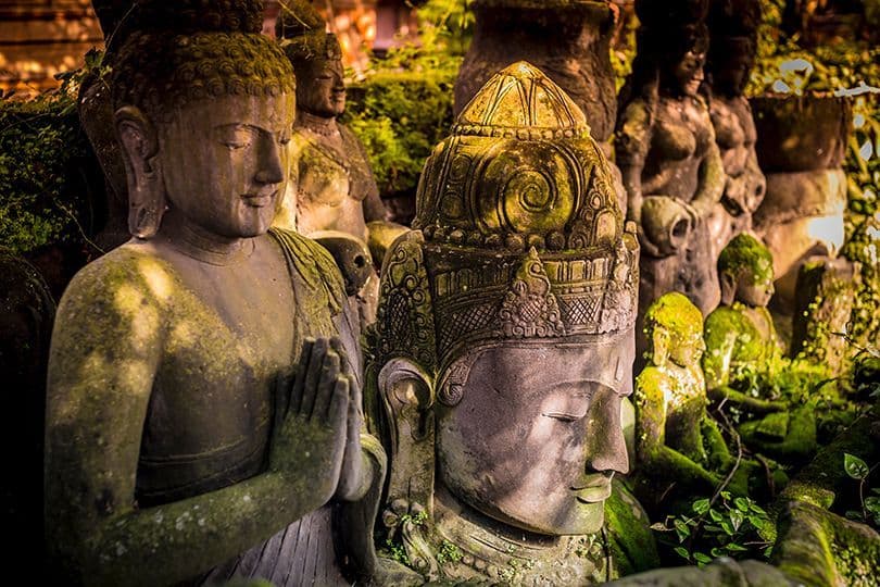 Una collezione di antiche statue buddiste in pietra, ricoperte di muschio, immerse in un lussureggiante fogliame verde.