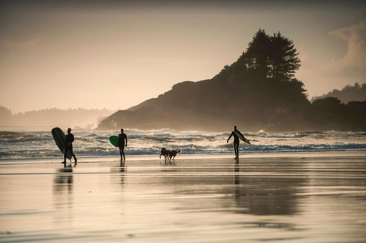 Surfistas con sus tablas caminan por la orilla de una playa al atardecer.
