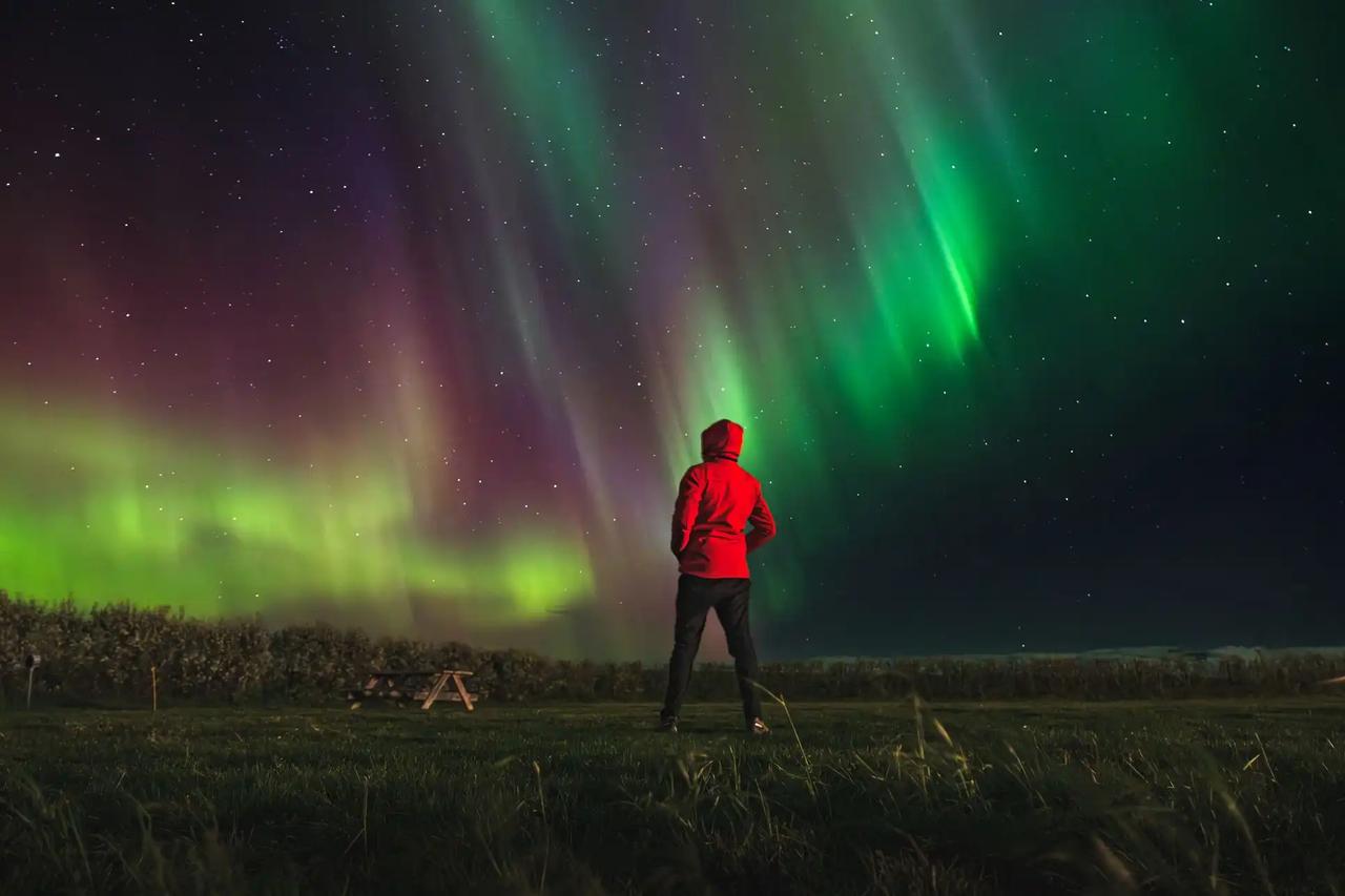 Eine Person in einer roten Kapuzenjacke steht nachts auf einem Grasfeld und beobachtet die grüne und violette Aurora Borealis am Sternenhimmel.