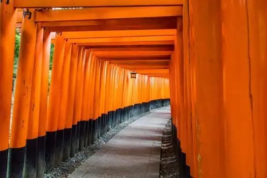 Allée de torii orange au sanctuaire Fushimi Inari, Kyoto