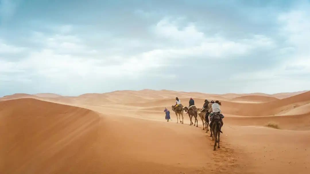 Caravana de camellos entre las dunas del Sáhara, Marruecos