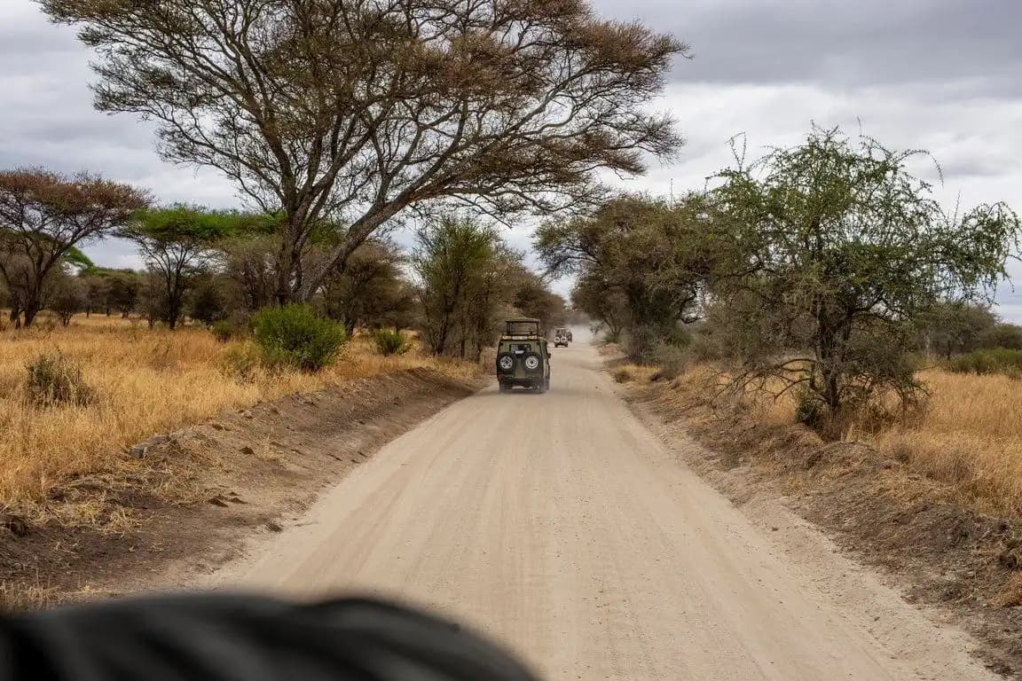Un veicolo da safari su una pista polverosa tra acacie e savana secca sotto un cielo nuvoloso.