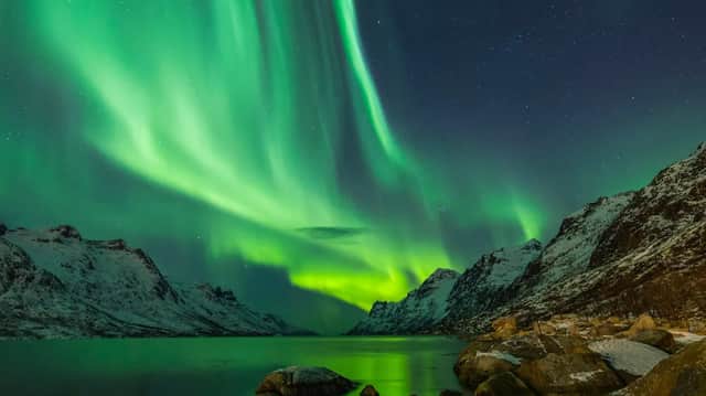 L'Aurora Boreale risplende verde in un cielo stellato sopra un fiordo circondato da montagne innevate.