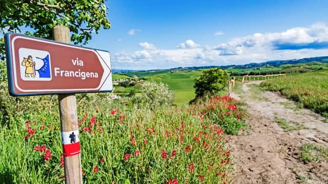 Un segnale per la Via Francigena indica un sentiero sterrato attraverso dolci colline verdi punteggiate di fiori selvatici rossi.