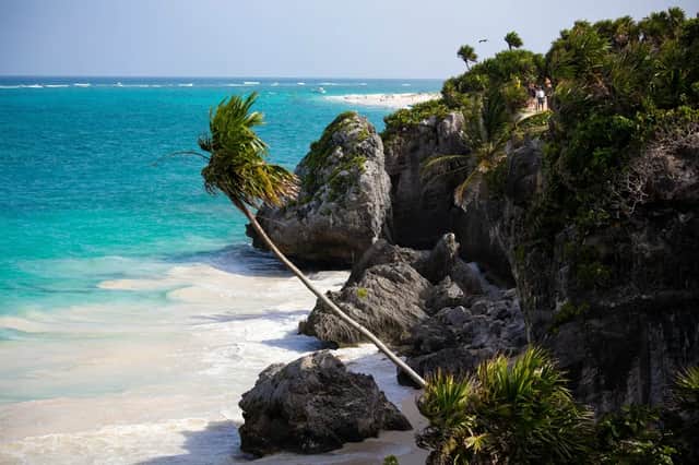 A palm tree leans out from a rocky, verdant cliff over a white sand beach with turquoise water.
