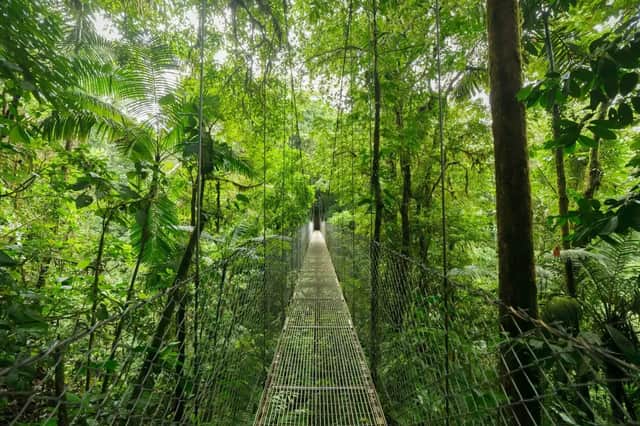 Un lungo ponte sospeso in metallo con sponde in rete metallica si estende in una lussureggiante e verde volta della giungla.