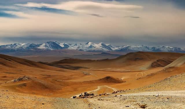 Una caravana de personas y ganado se mueve por un valle árido por un camino de tierra, con montañas nevadas al fondo.