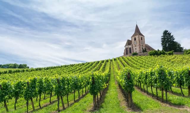 Filari di viti verdi ricoprono una collina che porta a un'antica chiesa in pietra sotto un cielo parzialmente nuvoloso.