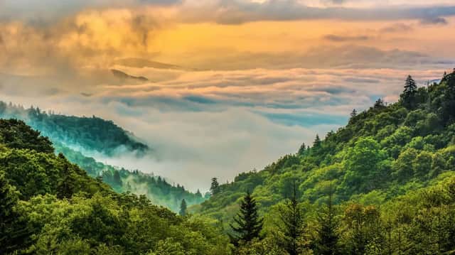 Lush green mountains rise above a thick blanket of fog in a valley under a golden sunrise sky.