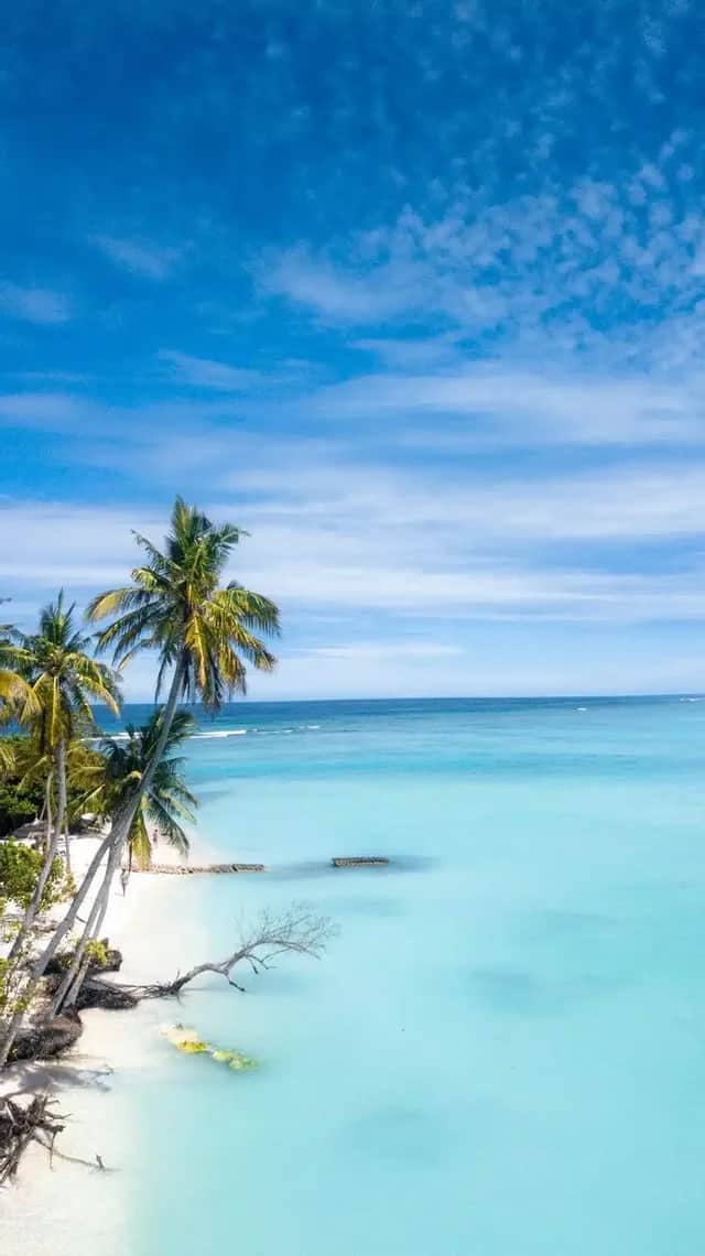 Eine Luftaufnahme eines tropischen Strandes mit Palmen, weißem Sand und klarem türkisfarbenem Wasser unter blauem Himmel.