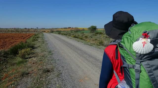 Una persona con uno zaino e una conchiglia del Cammino di Santiago cammina su una strada sterrata attraverso un paesaggio rurale.