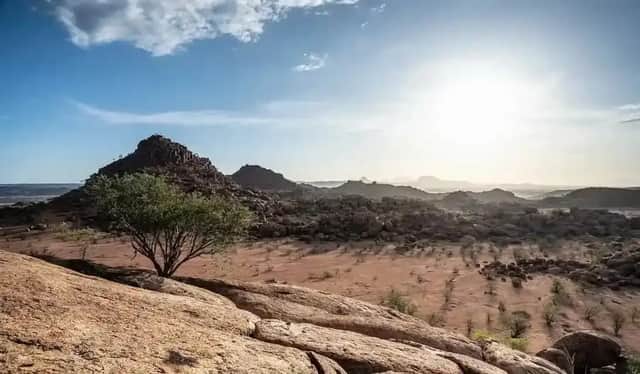 Un albero verde solitario su uno sperone roccioso si affaccia su una vasta valle desertica e montagne sotto un sole splendente.