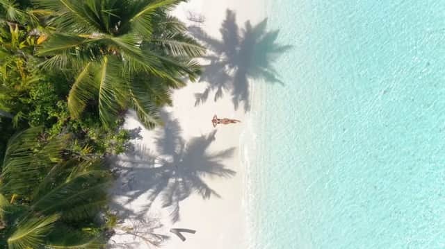 An aerial view of a person lying on a white sand beach by turquoise water, under the shadows of palm trees.