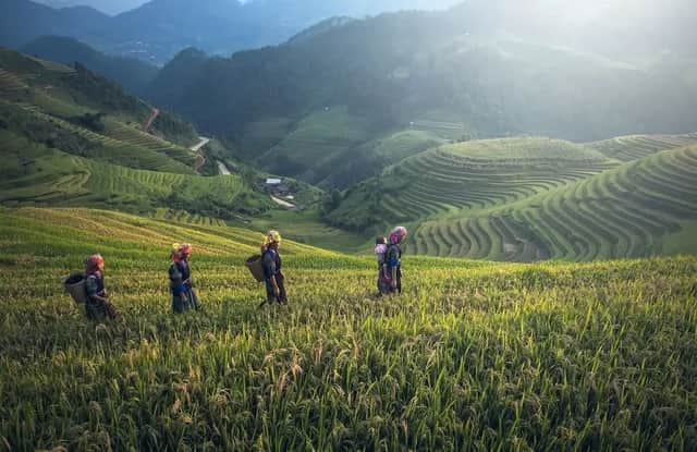 Quatre femmes en tenues traditionnelles traversent une rizière en terrasses, avec des montagnes verdoyantes en arrière-plan.