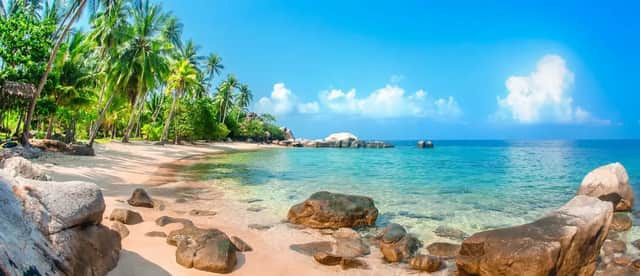 Una playa tropical de arena con grandes rocas se une al claro océano turquesa bajo un cielo azul con palmeras en la orilla.