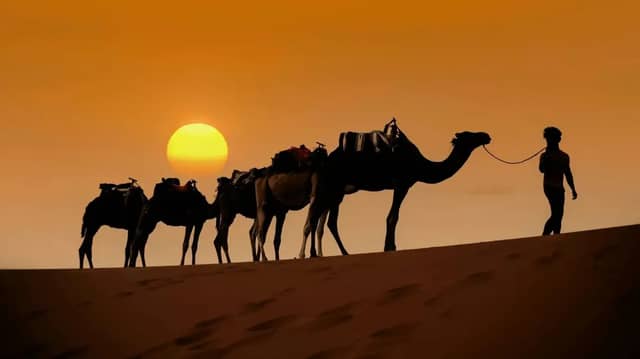 Silhouetten einer Person, die bei Sonnenuntergang eine Kamelkarawane über eine Sanddüne führt.