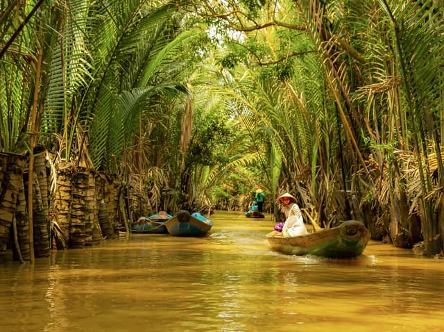 Wooden boats on a canal lined with water palms in the Mekong Delta.