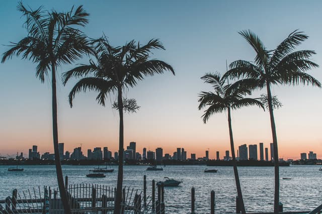 Palm tree silhouettes against a waterfront city skyline at sunset.