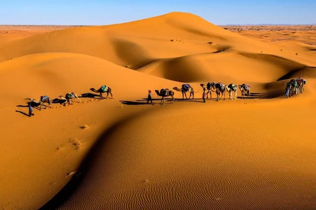 Un voyage de groupe WeRoad guide une caravane de chameaux à travers de vastes dunes de sable orange sous un ciel bleu clair.