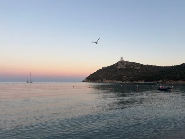 Mar en calma al atardecer con una torre sobre un promontorio y una gaviota en vuelo.