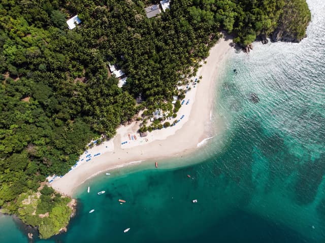 aerial-view-tropical-beach-jungle