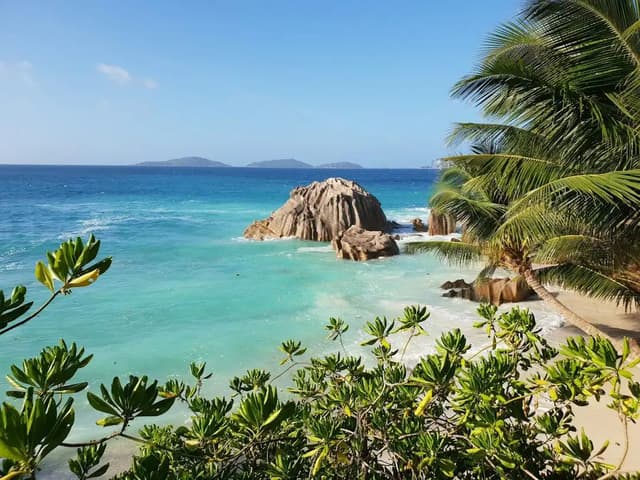 Strand auf den Seychellen mit Granitfelsen und Palmen